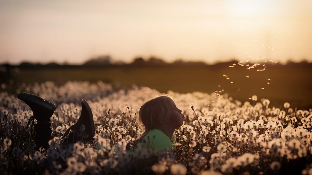 kindermindfulness training Annette Schröder Liv Yoga & mindfulness Leidse hout natuur bomen mindfulness voor kinderen